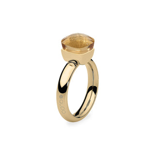 Ring Edelstahl Gold Champagner Weite 56